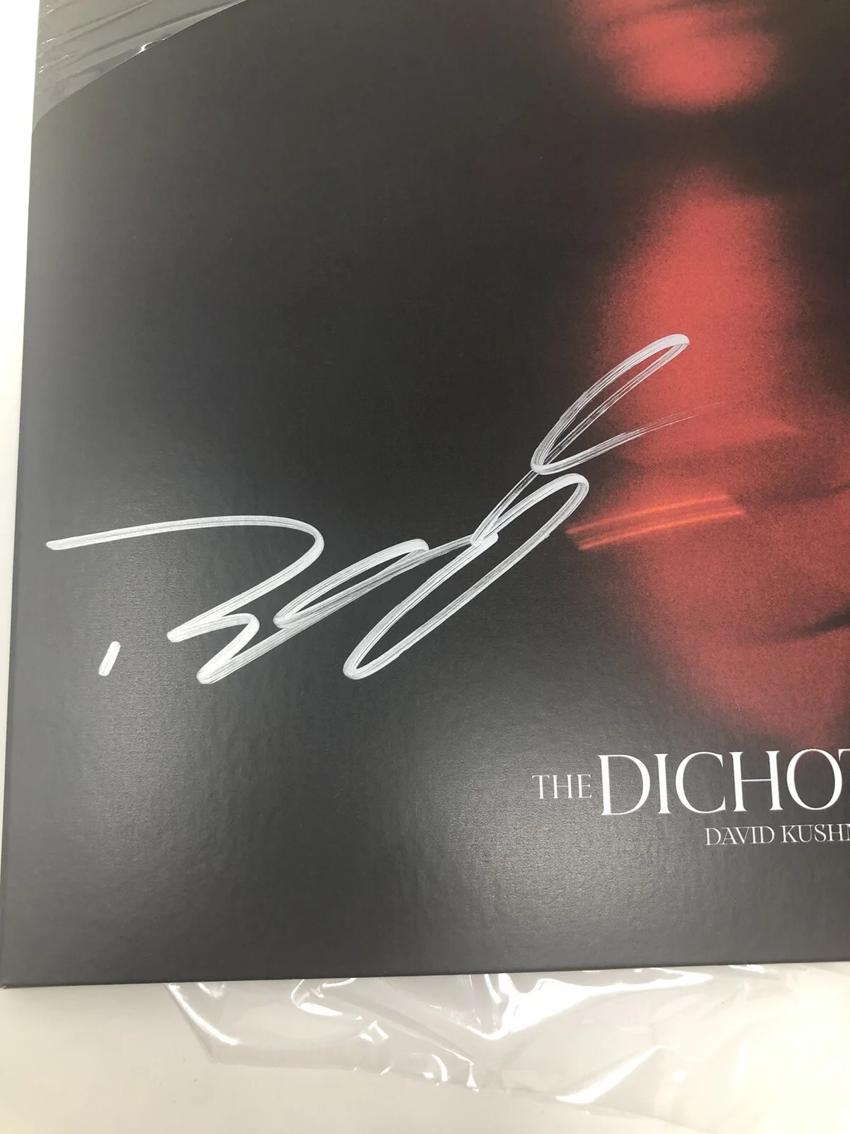 David Kushner SIGNED “The Dichotomy” LP Gold Vinyl Record Autograph W/shrink, изображение 3