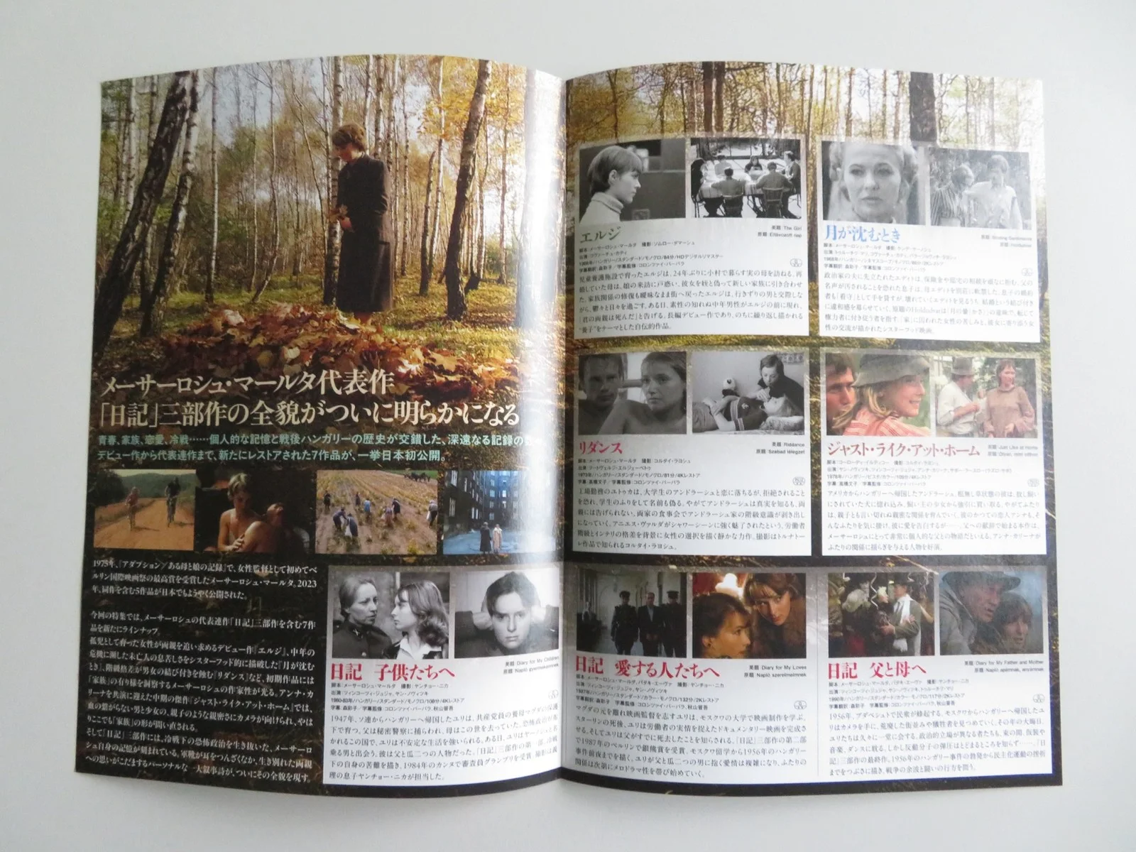 MARTA MESZAROS DIRECTOR FEATURE JAPANESE CHIRASHI (B5) POSTER MARI TOROCSIK 2025, изображение 2