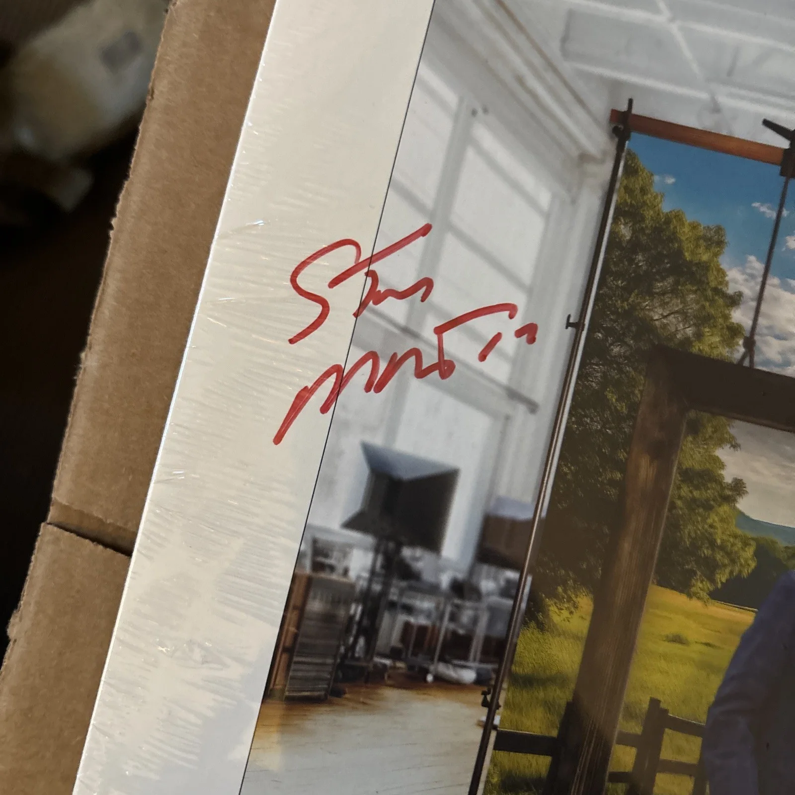 Alison Brown & Steve Martin Safe Sensible Sane vinyl w/ signed cover AUTOGRAPHED, image 2