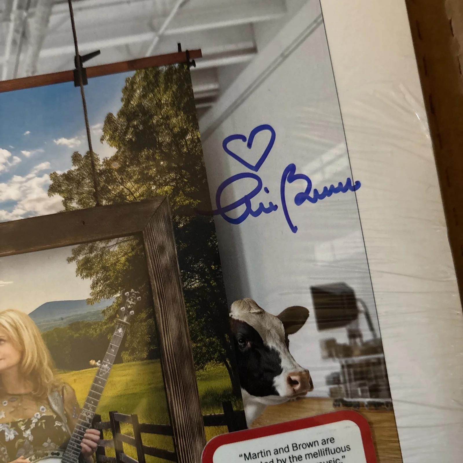 Alison Brown & Steve Martin Safe Sensible Sane vinyl w/ signed cover AUTOGRAPHED, image 3