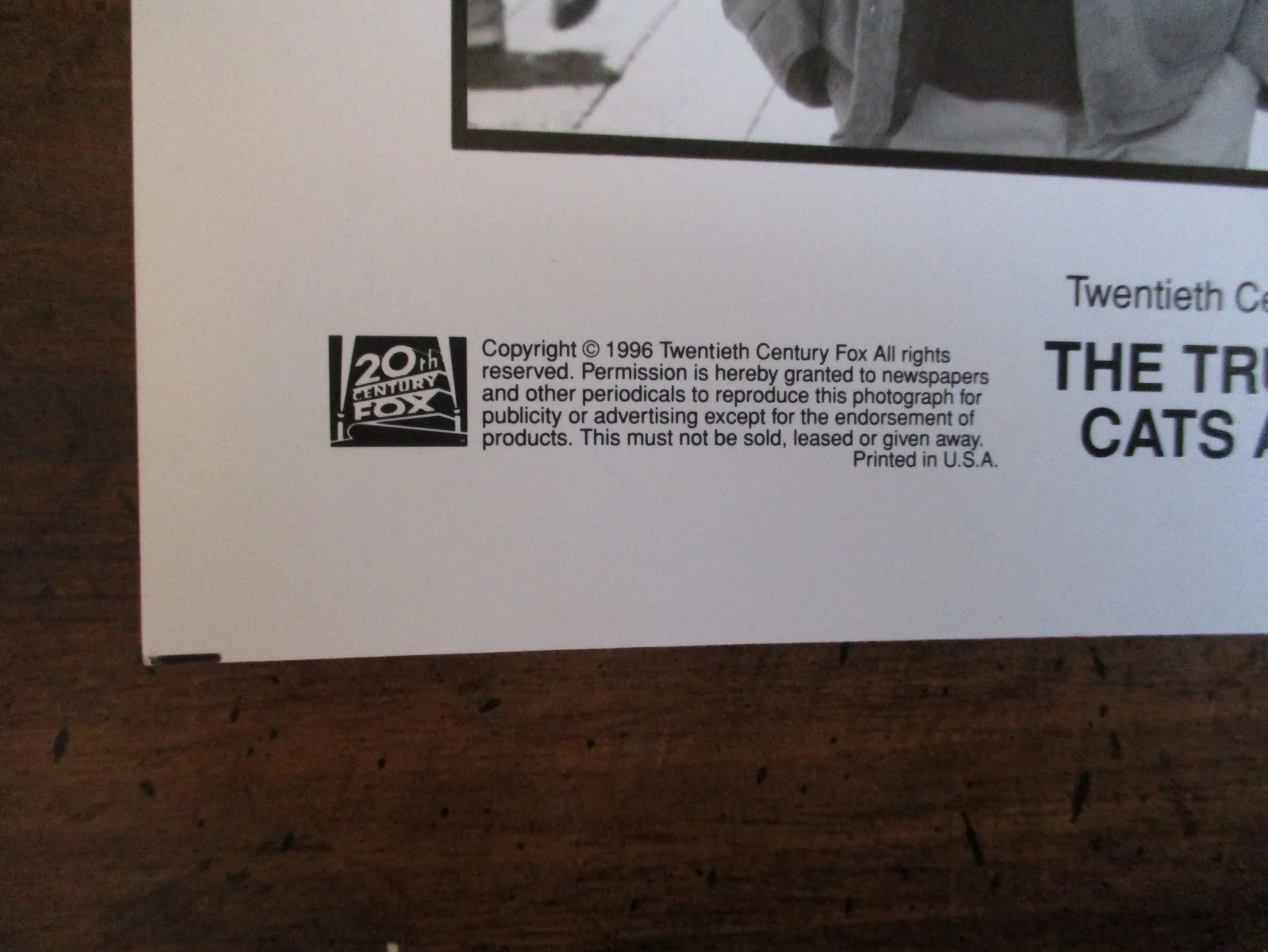 Uma Thurman/Janeane Garofalo/Ben Chaplin(THE TRUTH ABOUT CATS & DOGS)1996 Photo, изображение 4