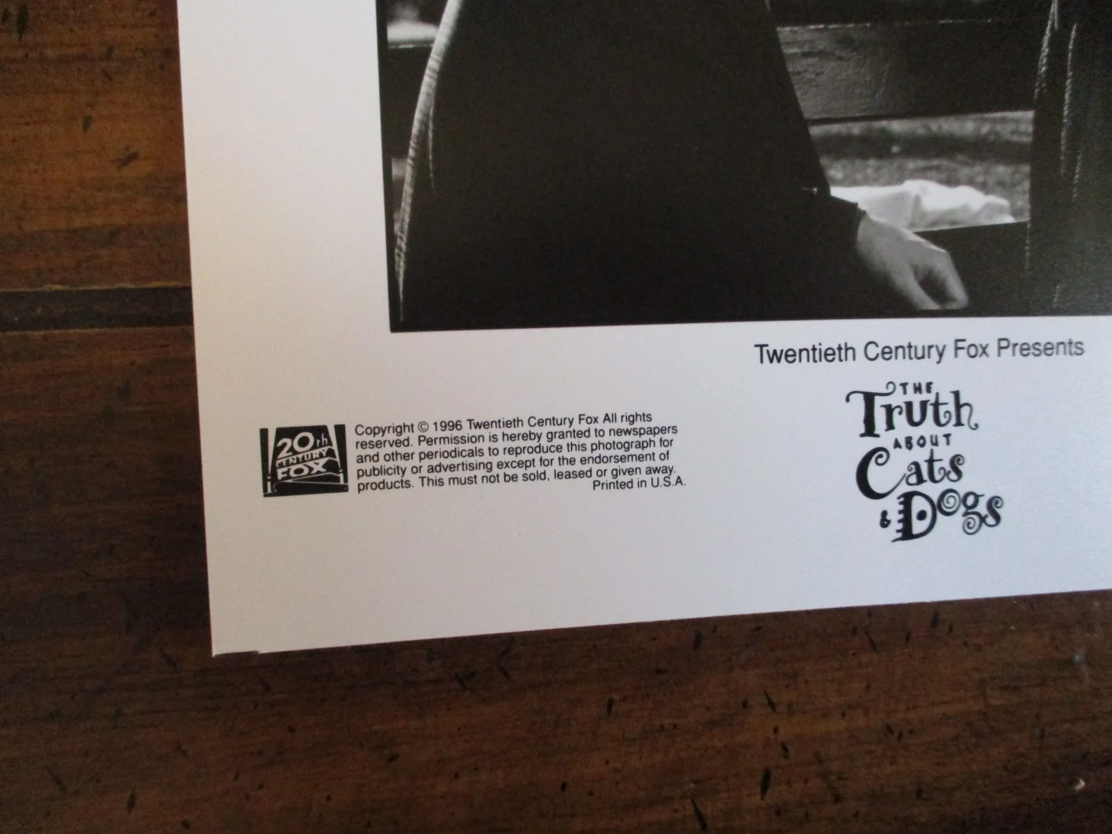 Ben Chaplin/Janeane Garofalo(THE TRUTH ABOUT CATS & DOGS)1996 8 x 10 B & W Photo, изображение 4