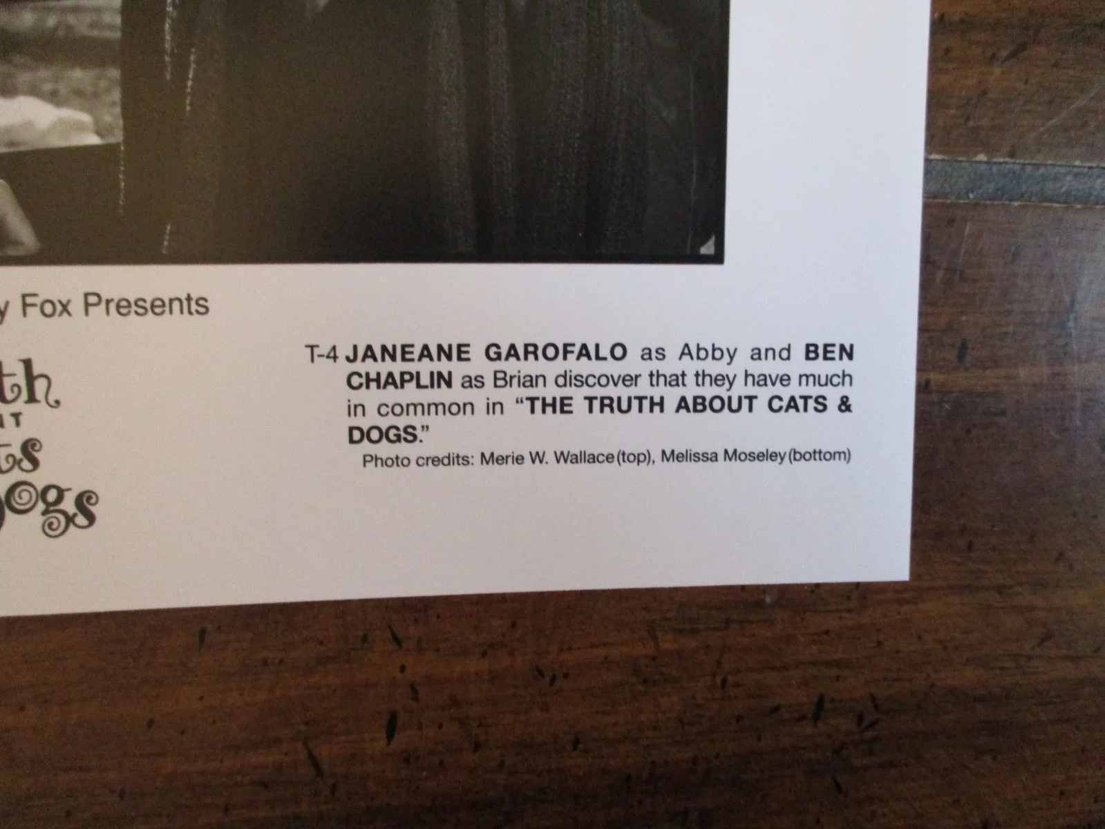 Janeane Garofalo/Ben Chaplin(THE TRUTH ABOUT CATS & DOGS)1996 8 x 10 B & W Photo, изображение 3