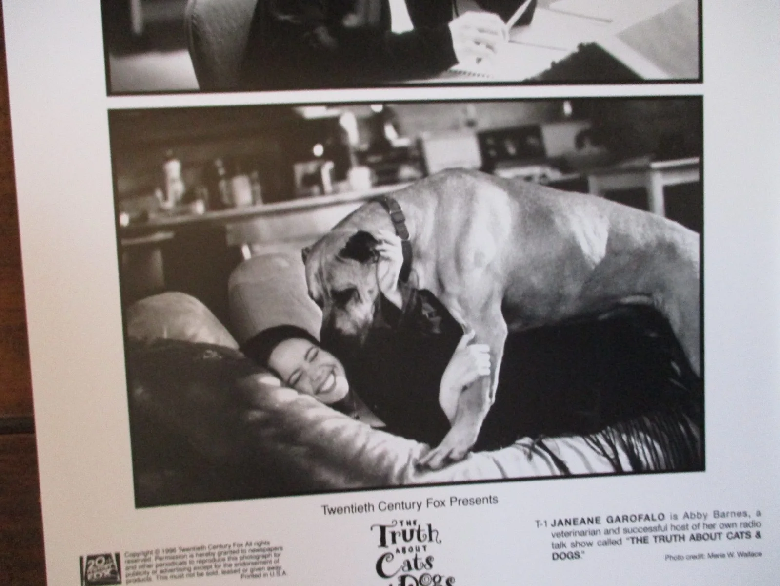 Janeane Garofalo(THE TRUTH ABOUT CATS & DOGS)1996 8 X 10 Black/White Press Photo, изображение 2