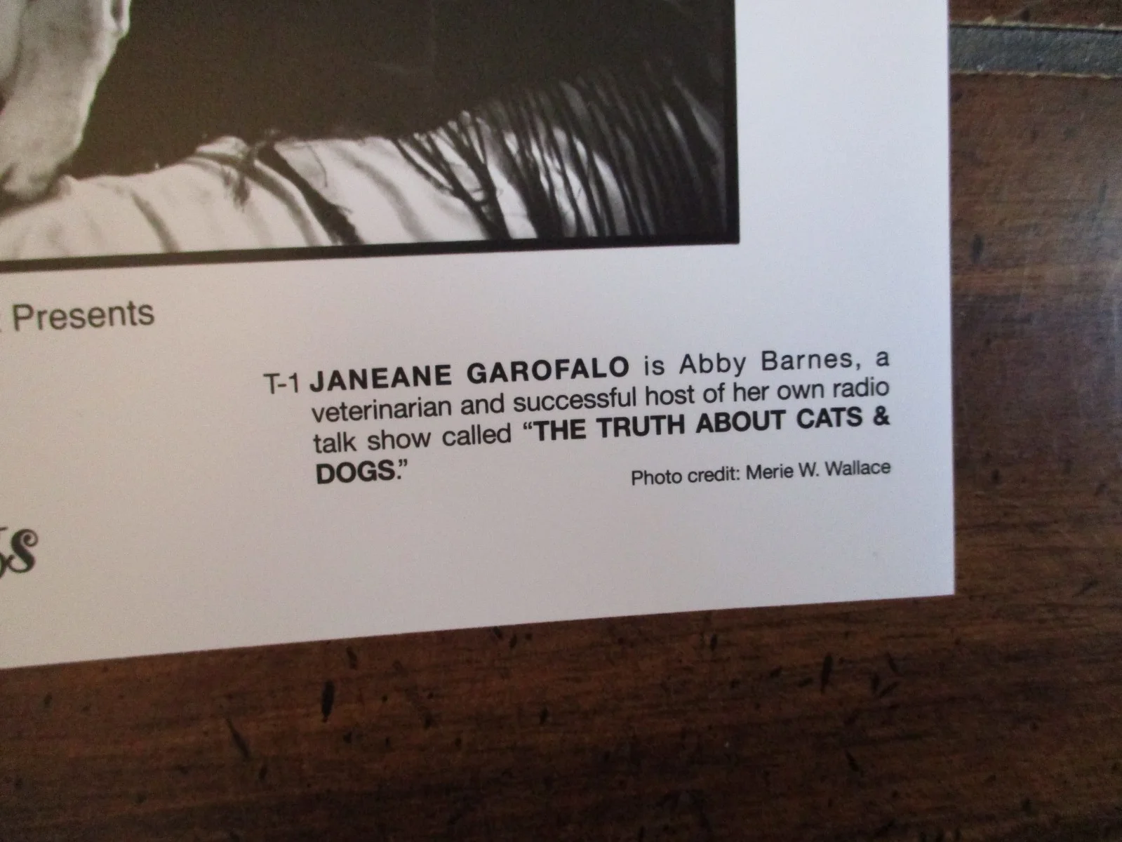 Janeane Garofalo(THE TRUTH ABOUT CATS & DOGS)1996 8 X 10 Black/White Press Photo, изображение 3