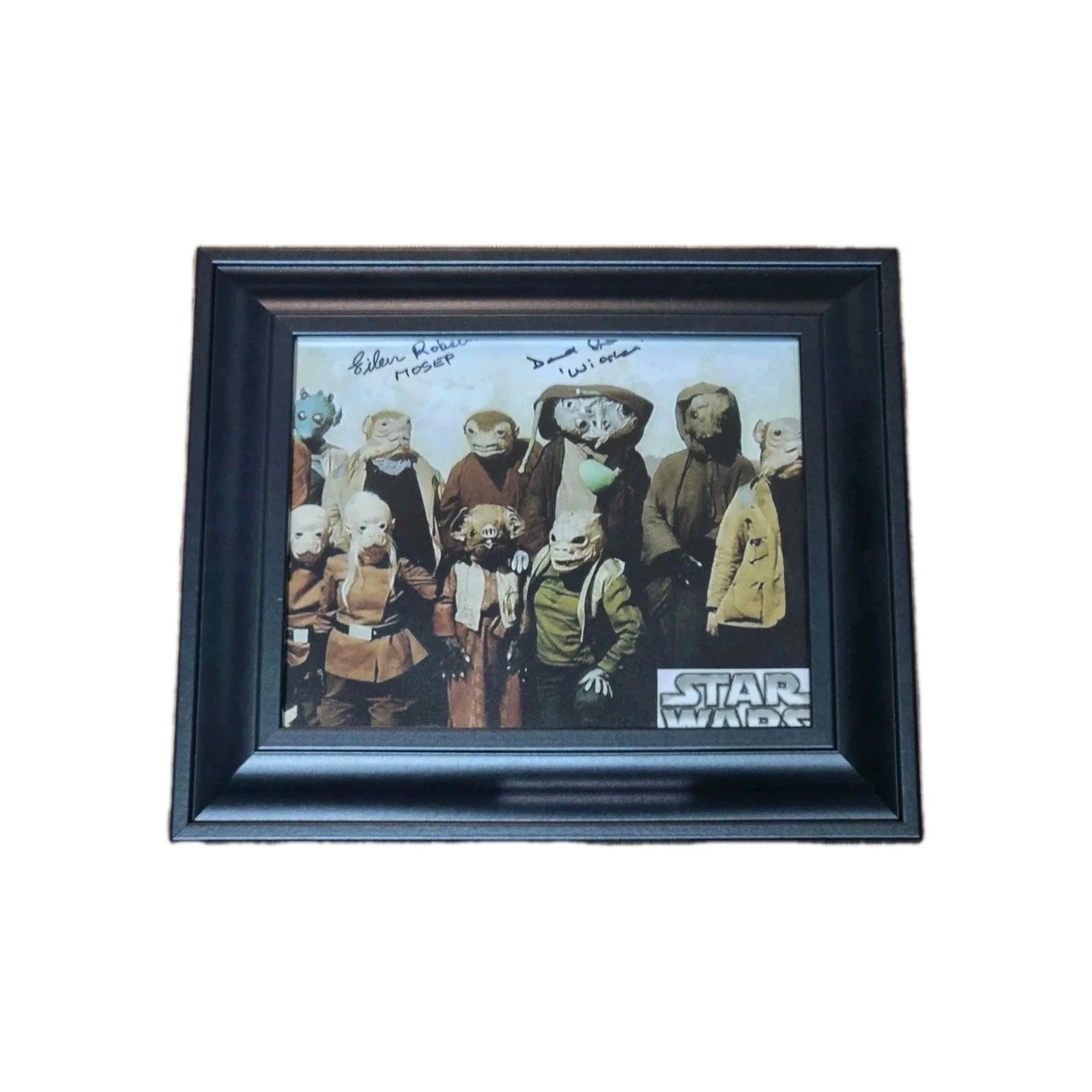Eileen Roberts “Mosep” David Stone “Wioslea” Star Wars Auto 13x11 Framed Photo, image 2
