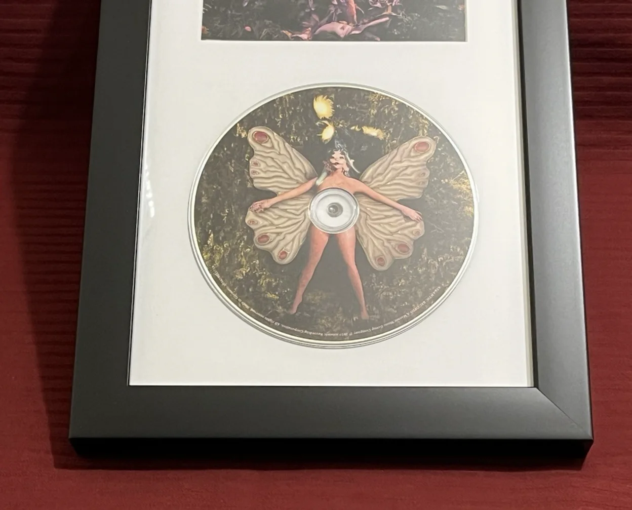 MELANIE MARTINEZ SIGNED & FRAMED PORTALS CD DISPLAY AUTOGRAPH COA A, image 5