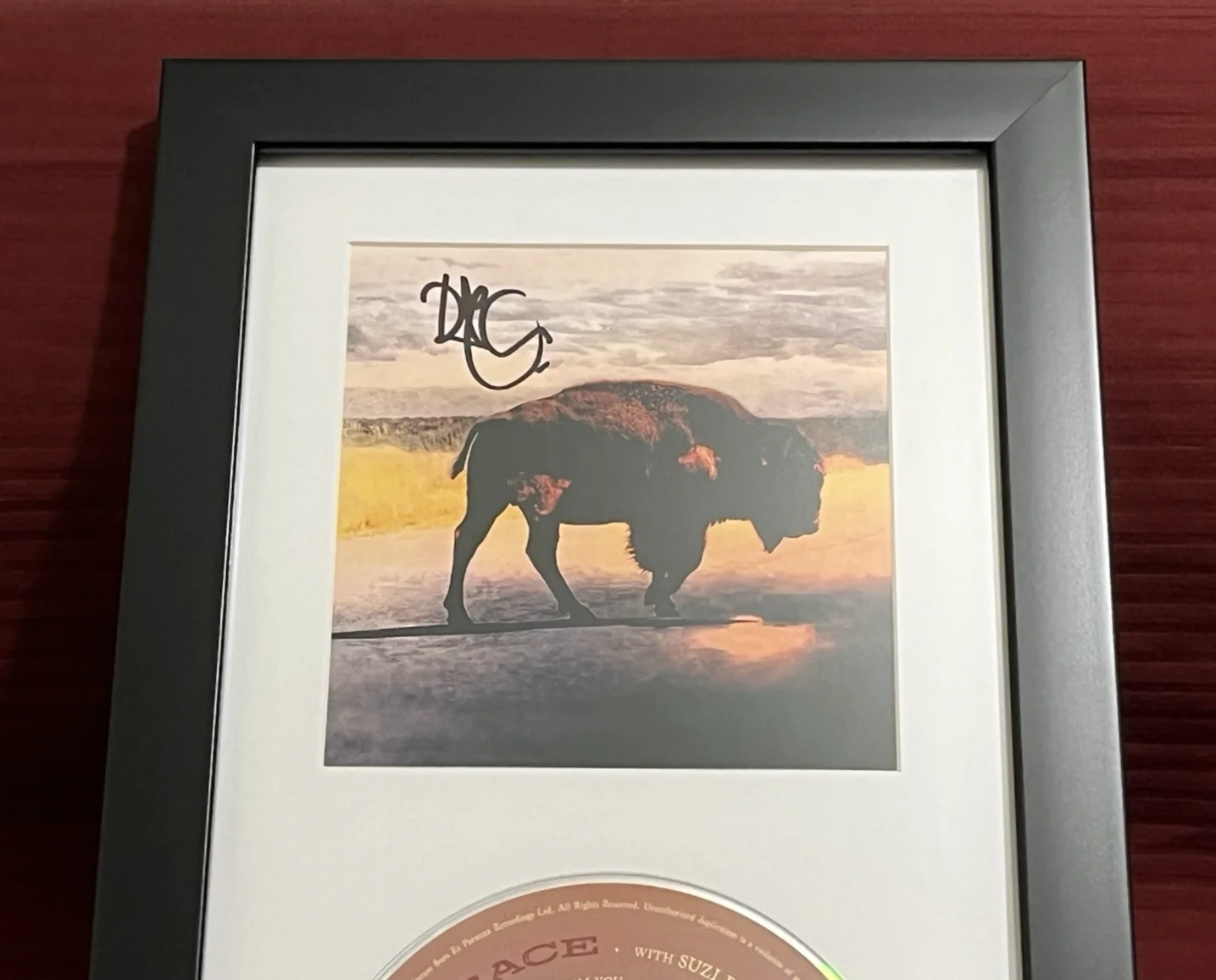 ROBERT PLANT SIGNED & FRAMED SAVING GRACE CD DISPLAY LED ZEPPELIN AUTOGRAPH COA, image 3