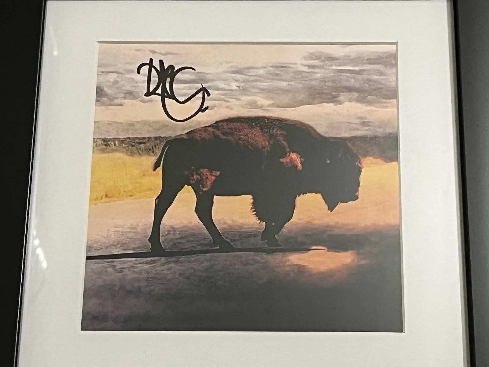 ROBERT PLANT SIGNED & FRAMED SAVING GRACE CD DISPLAY LED ZEPPELIN AUTOGRAPH COA, image 4