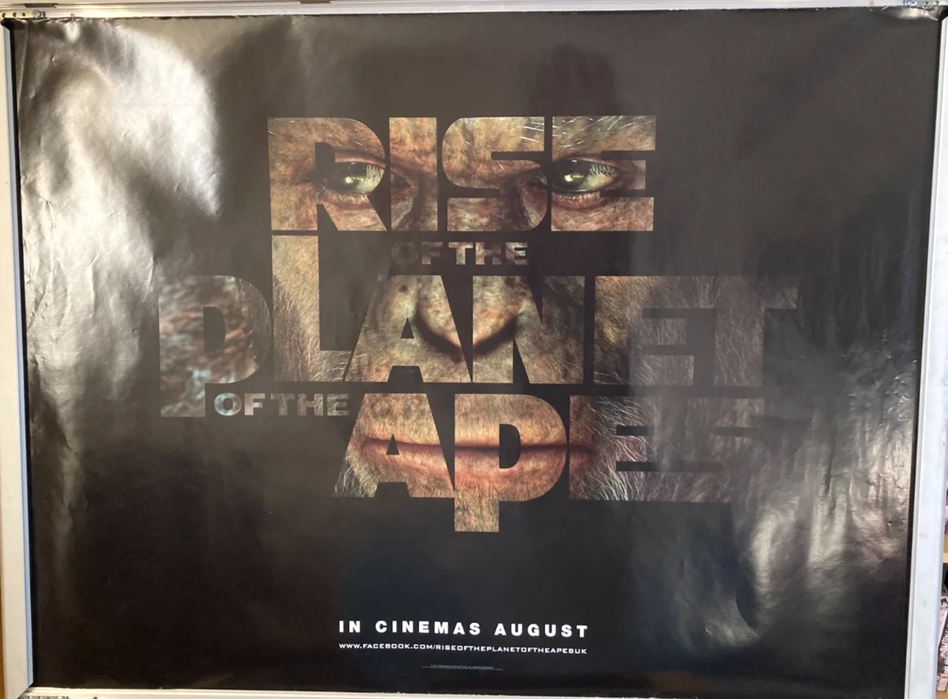 Cinema Poster: RISE OF THE PLANET OF THE APES 2011 (Main Quad) James Franco, изображение 3