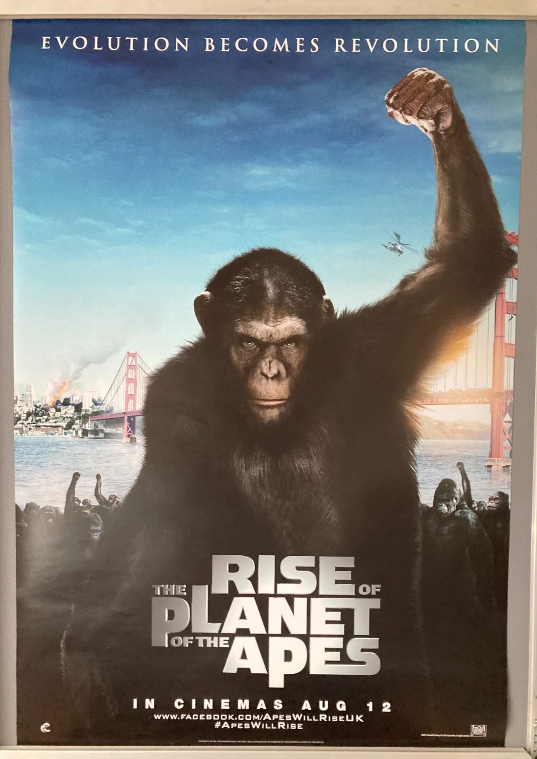Cinema Poster: RISE OF THE PLANET OF THE APES 2011 Main One Sheet James Franco, изображение 2