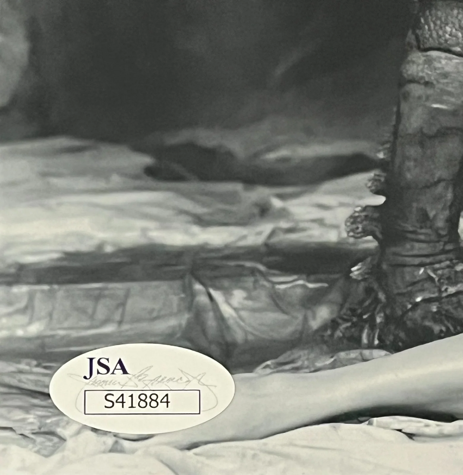 Julie Adams Ricou Browning — Julie Adams Ricou Browning Creature From The Black Lagoon Signed 8x10 Photo JSA, изображение 2