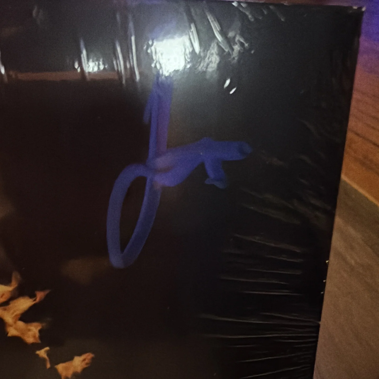 98 Degrees Signed Full Circle Vinyl - New Sealed, image 4