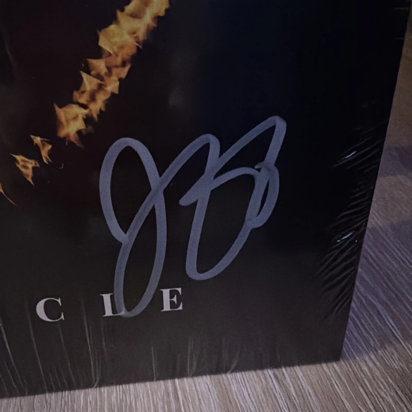 98 Degrees Signed Full Circle Vinyl - New Sealed, image 5