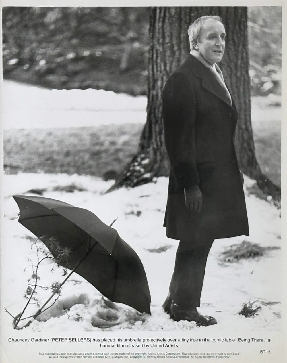 Being There (1979) Peter Sellers Publicity Film Still - Framed, изображение 3