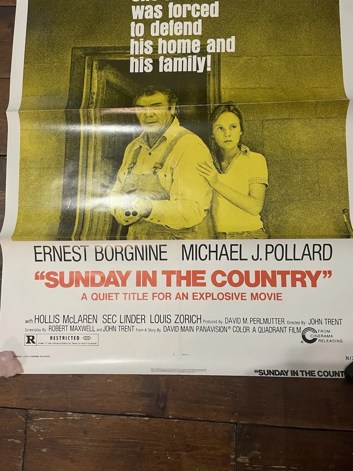 Sunday In The Country (1974) Original US One Sheet Movie Poster, изображение 2