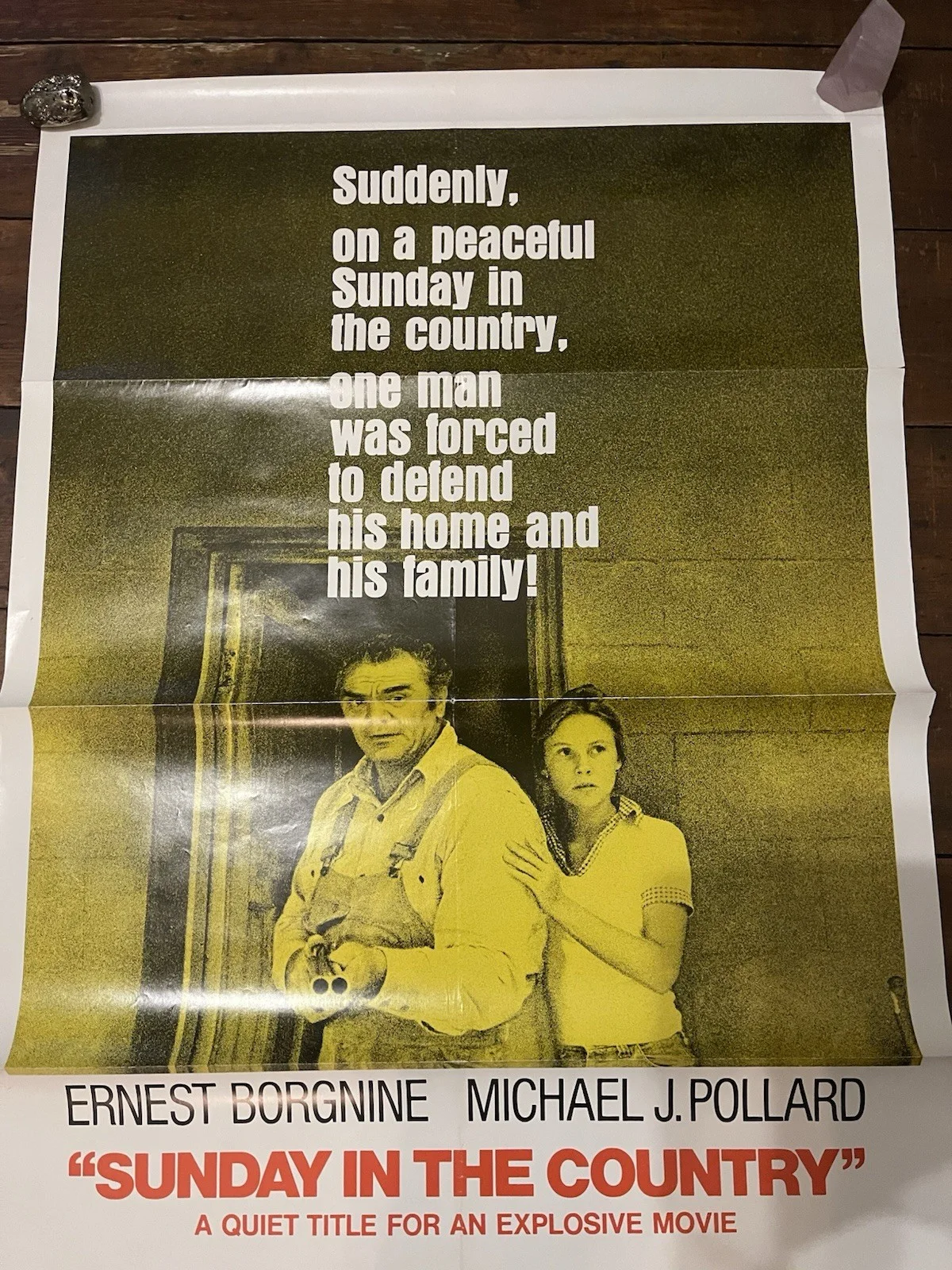 Sunday In The Country (1974) Original US One Sheet Movie Poster, изображение 3