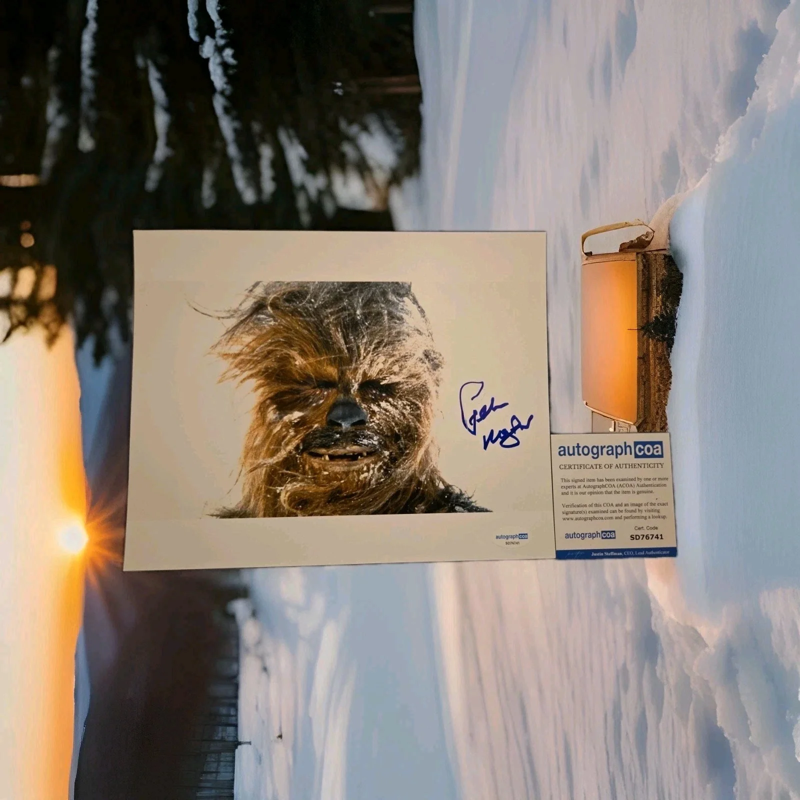 Star Wars Signed Peter Mayhew Chewbacca Autographed 8x10 Photograph ACOA Cert..., изображение 2