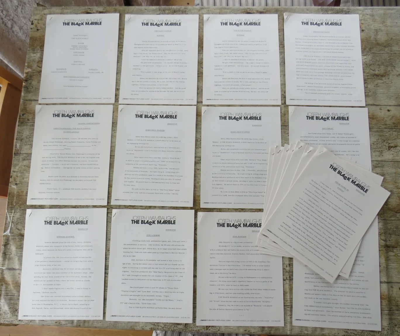 THE BLACK MARBLE ORIGINAL 1980 CINEMA PRESS KIT Robert Foxworth 24 PHOTOS 80's, изображение 3