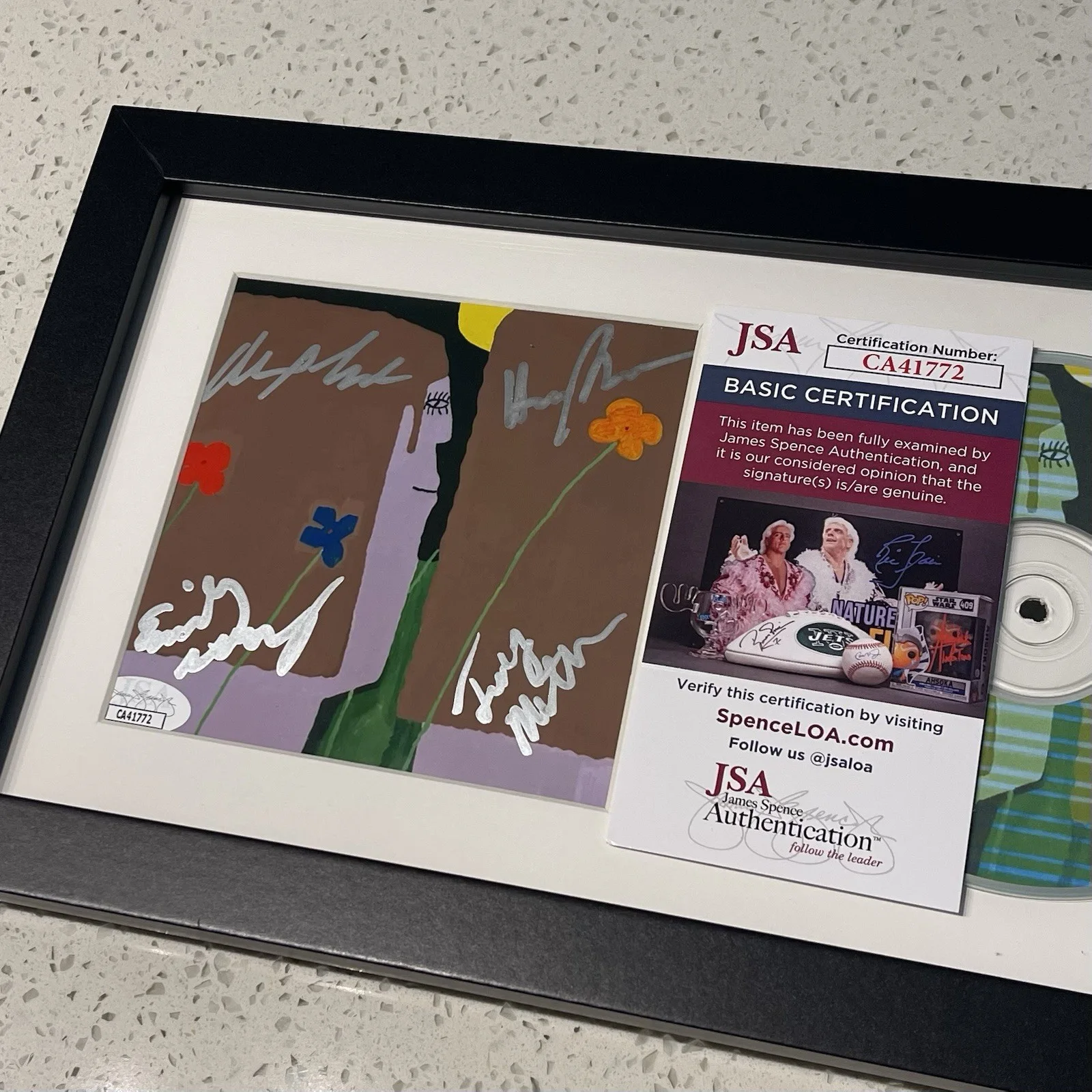 SLOW PULP FULL BAND SIGNED YARD CD ALBUM EMILY MASSEY AUTOGRAPH FRAMED JSA COA, изображение 2