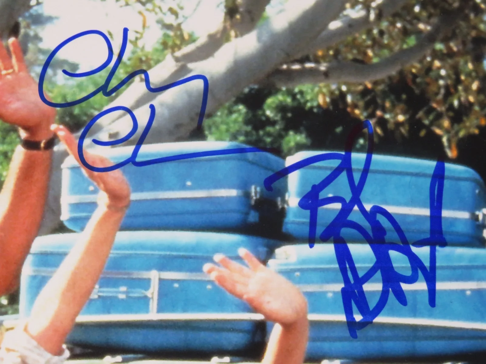 Chevy Chase NATIONAL LAMPOON'S VACATION Signed Autograph 11x14 Photo by 4 JSA, image 2