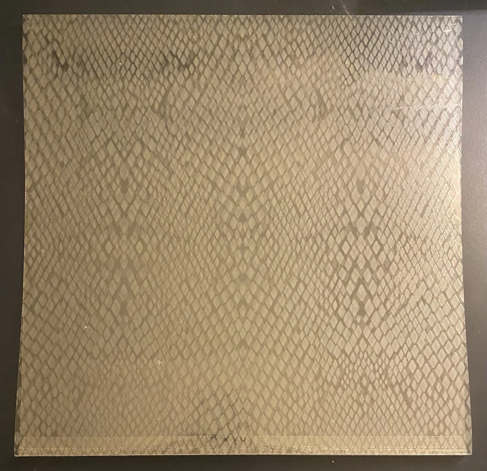 Matt Berninger SIGNED Serpentine Prison (The National) Vinyl, image 4