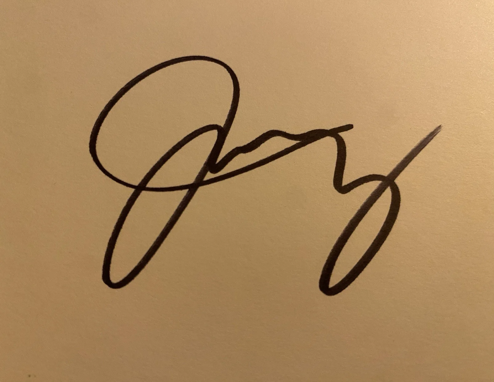 Wilco FULLY SIGNED Ode To Joy RARE Jeff Tweedy Vinyl, image 2