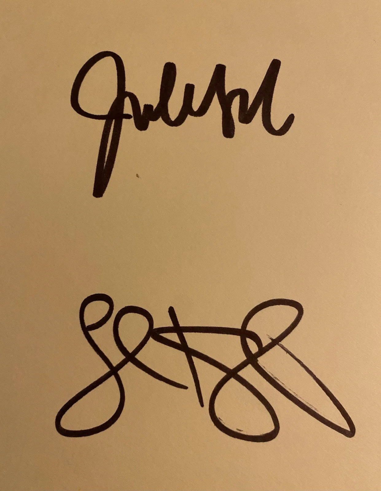 Wilco FULLY SIGNED Ode To Joy RARE Jeff Tweedy Vinyl, image 3