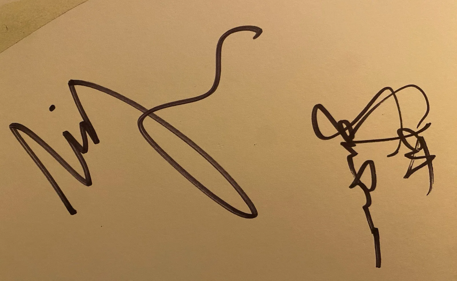 Wilco FULLY SIGNED Ode To Joy RARE Jeff Tweedy Vinyl, image 4