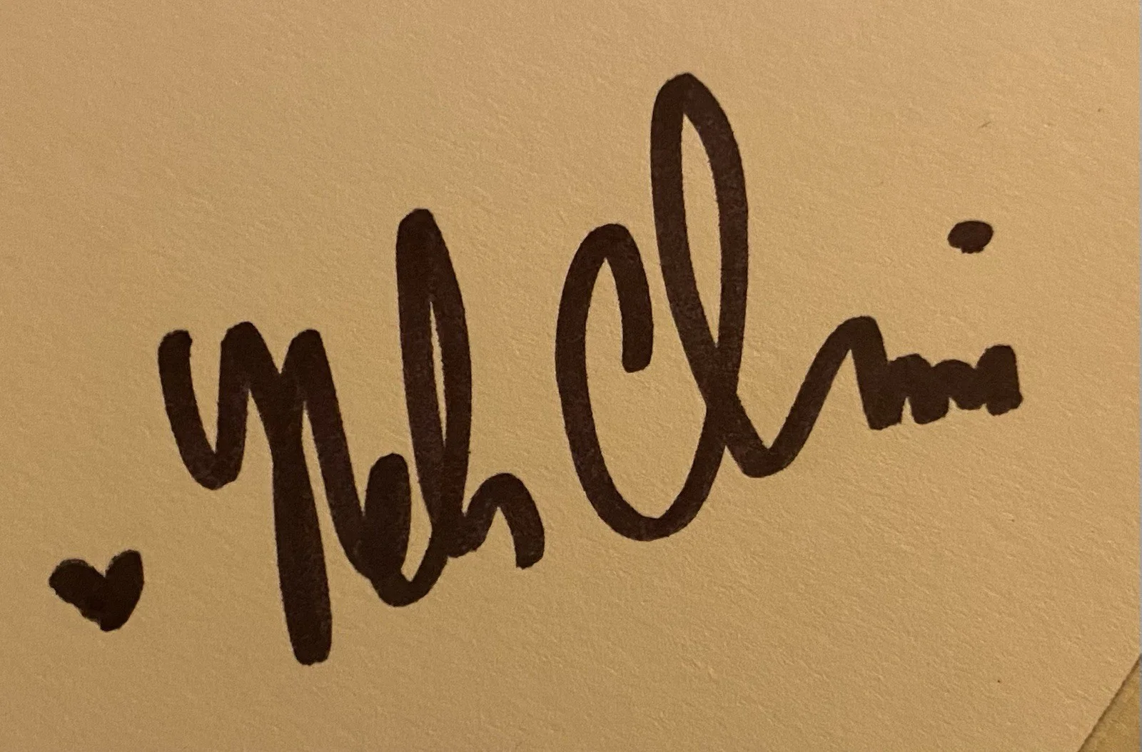 Wilco FULLY SIGNED Ode To Joy RARE Jeff Tweedy Vinyl, image 5