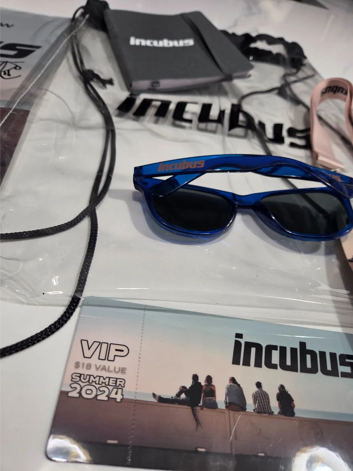Incubus Morning View 2024 VIP Merch Set Autographed Poster + Exclusive Items, изображение 3