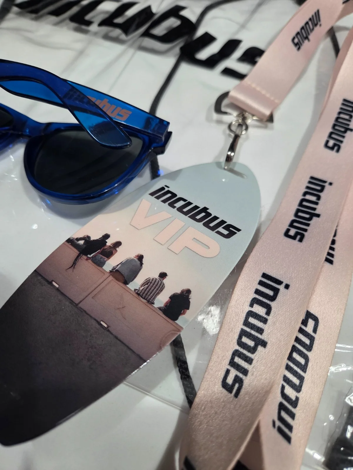 Incubus Morning View 2024 VIP Merch Set Autographed Poster + Exclusive Items, изображение 4
