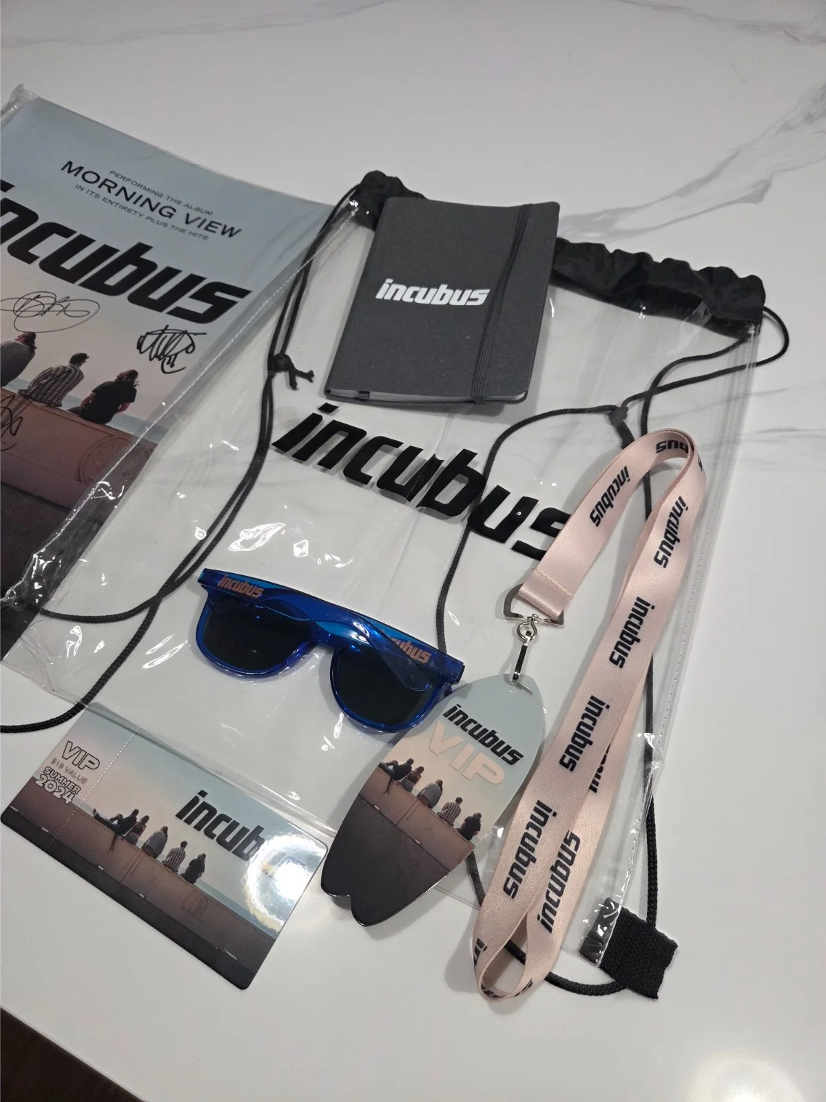 Incubus Morning View 2024 VIP Merch Set Autographed Poster + Exclusive Items, изображение 5