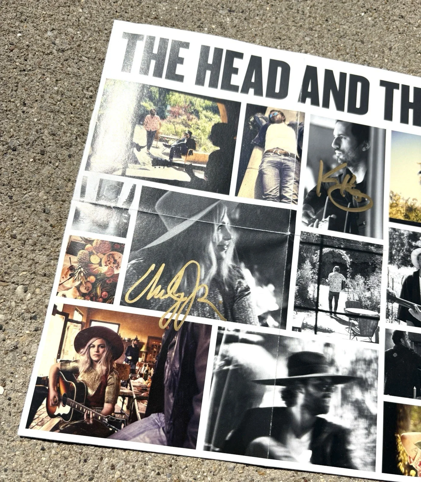 THE HEAD AND THE HEART Band SIGNED Poster JSA COA Signs Of Light, изображение 2