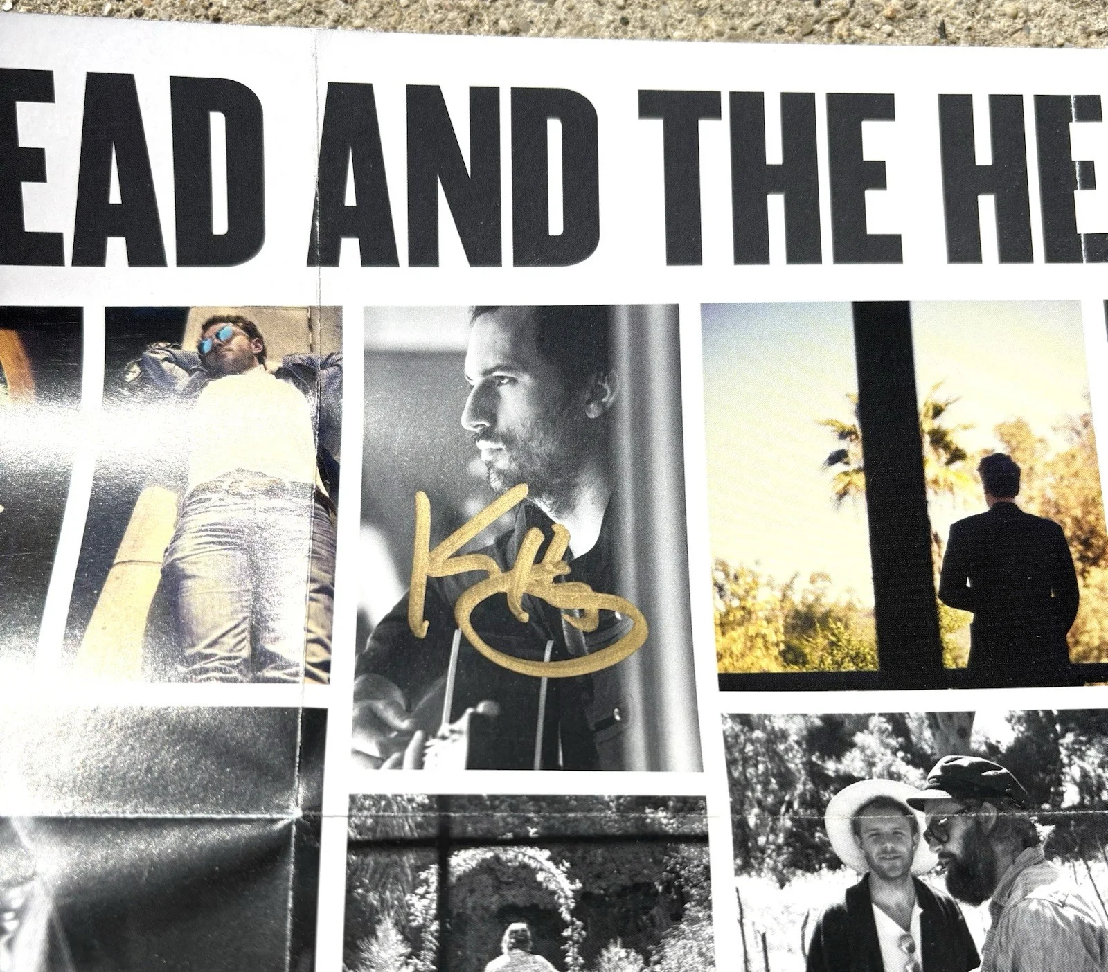 THE HEAD AND THE HEART Band SIGNED Poster JSA COA Signs Of Light, изображение 3