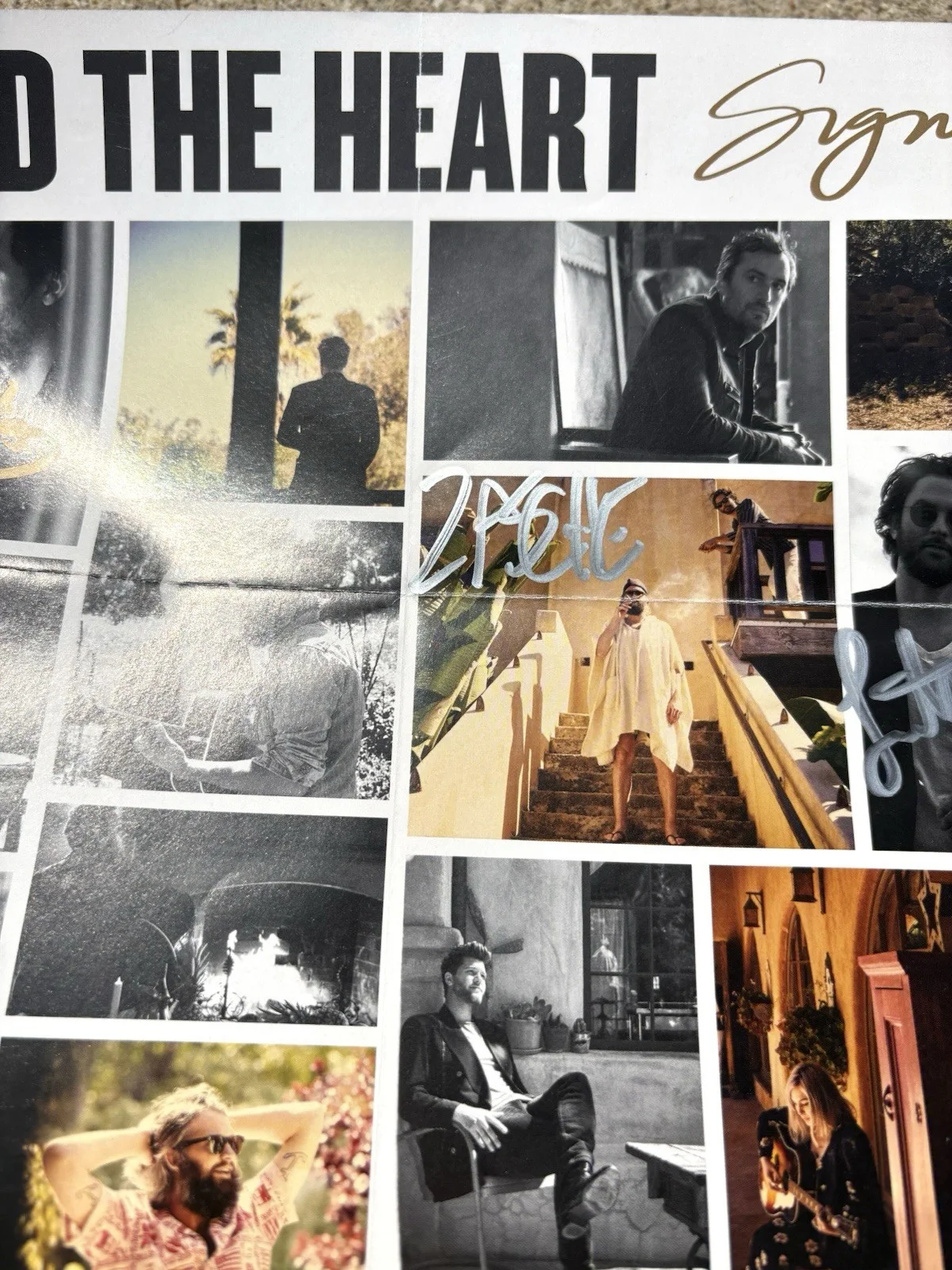 THE HEAD AND THE HEART Band SIGNED Poster JSA COA Signs Of Light, изображение 4