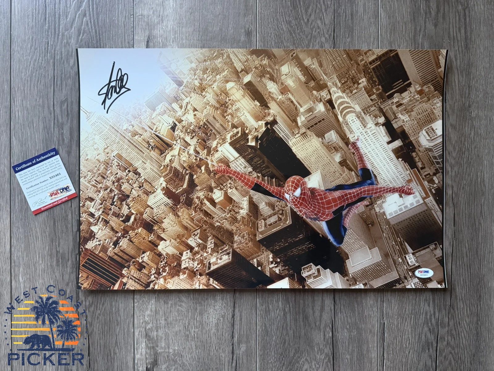 Stan Lee — Stan Lee Signed Spider-Man Photo PSA/DNA COA Certified Authentic Autograph 20x13