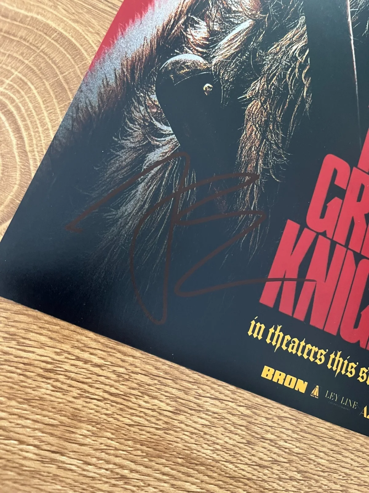 * JOEL EDGERTON * signed 12x18 poster * THE GREEN KNIGHT * COA *, image 2