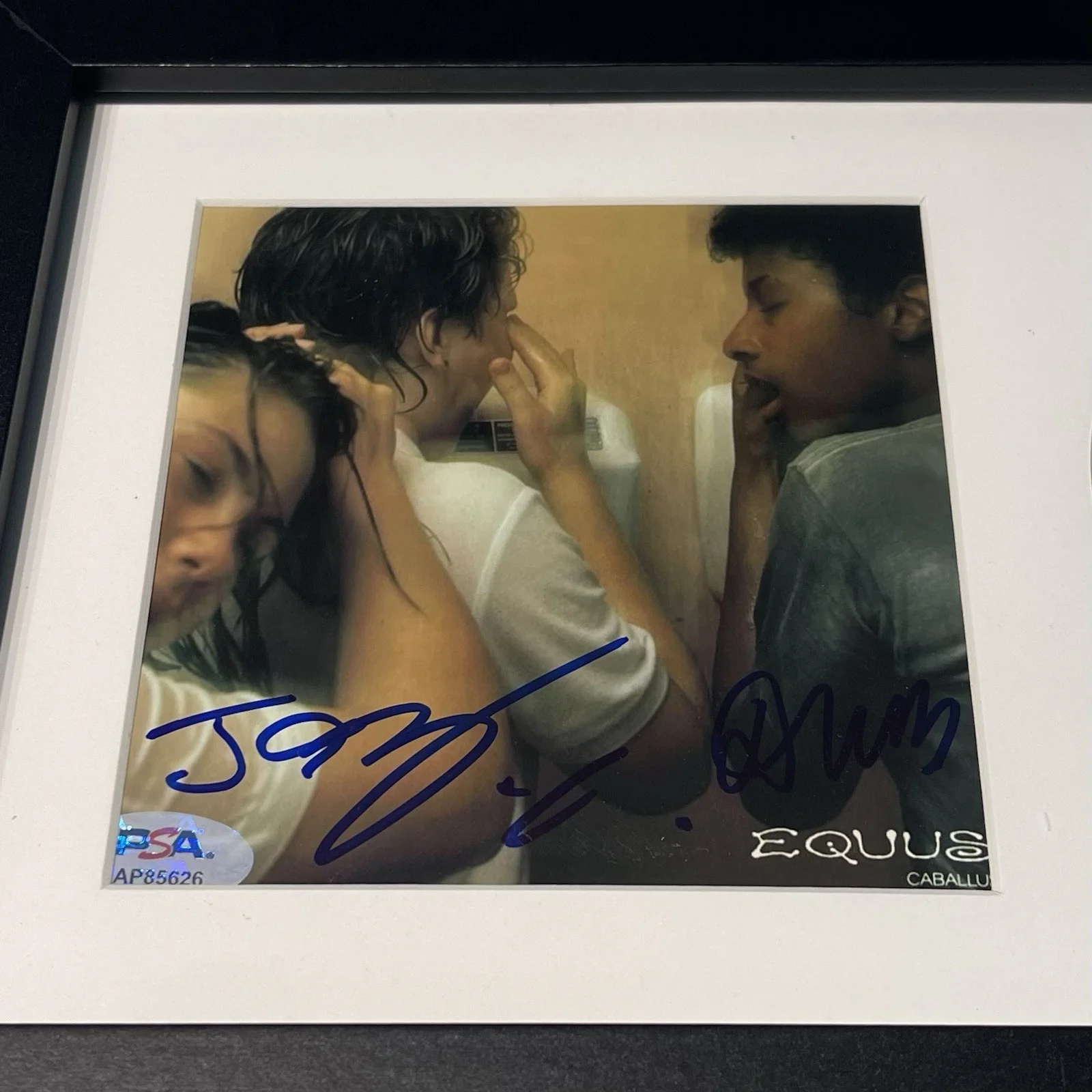 MEN I TRUST BAND SIGNED EQUUS CABALLUS CD JESSY DRAGOS AUTOGRAPH FRAME PSA COA, image 2