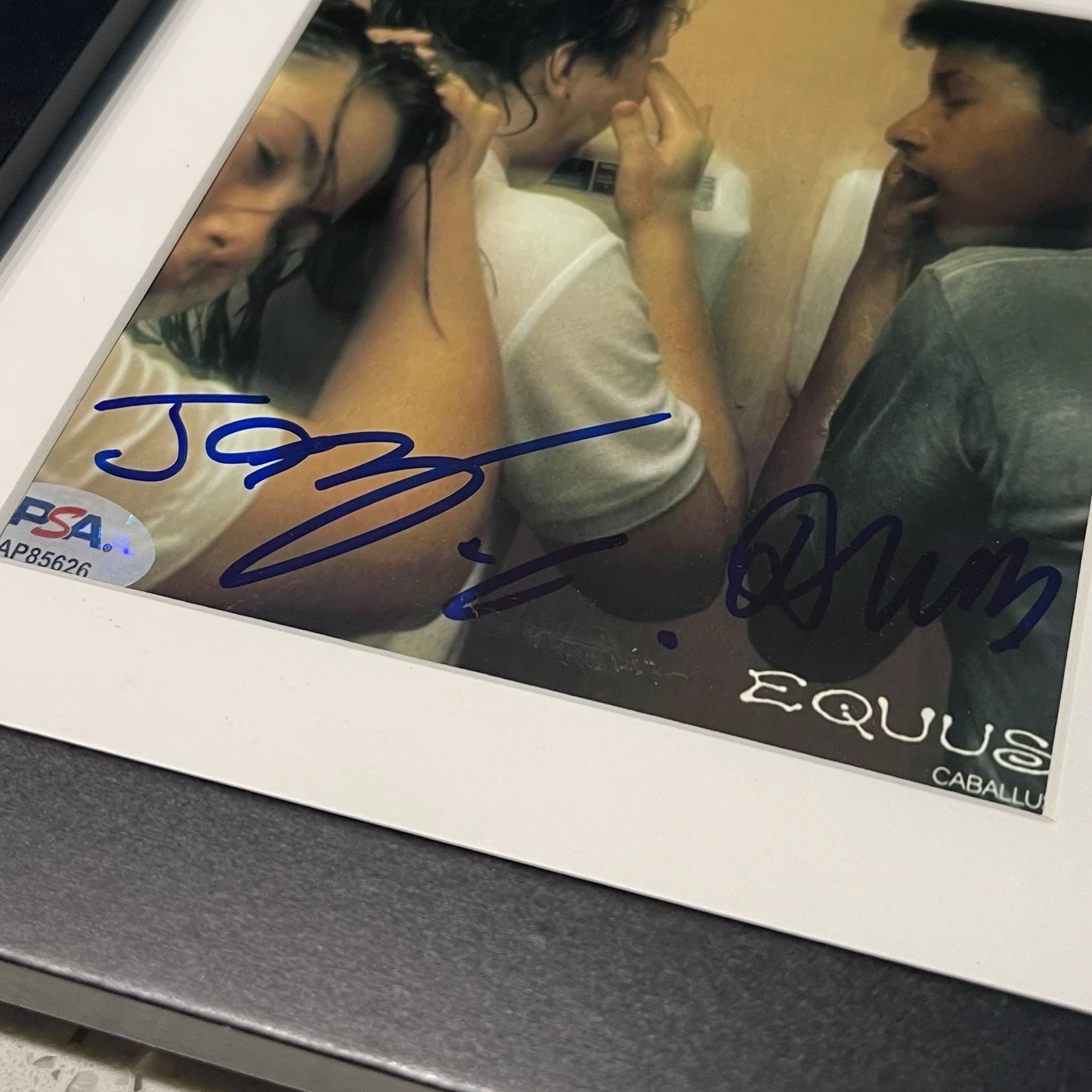 MEN I TRUST BAND SIGNED EQUUS CABALLUS CD JESSY DRAGOS AUTOGRAPH FRAME PSA COA, image 3