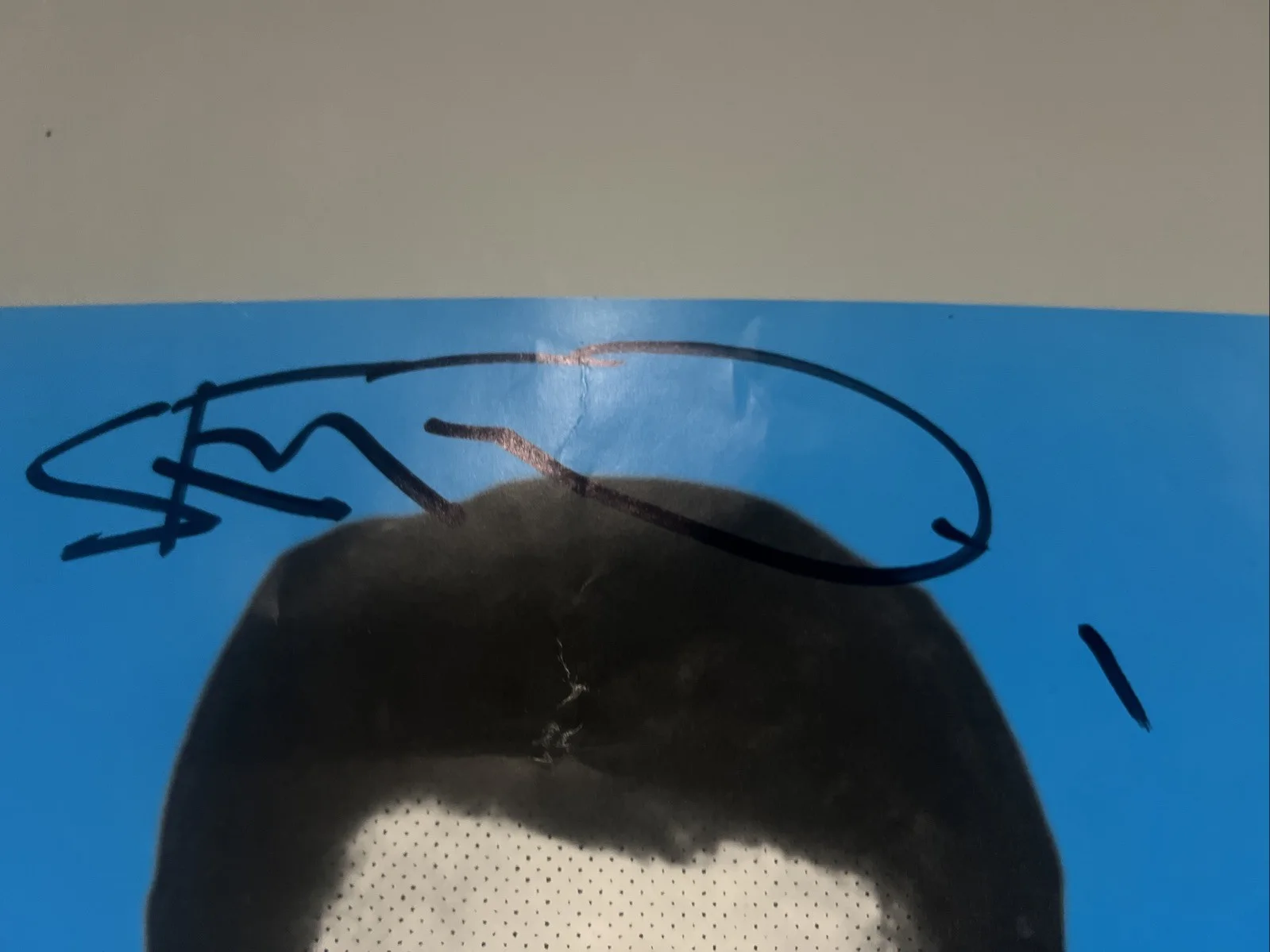 Signed Steve-O Poster Autographed, image 2