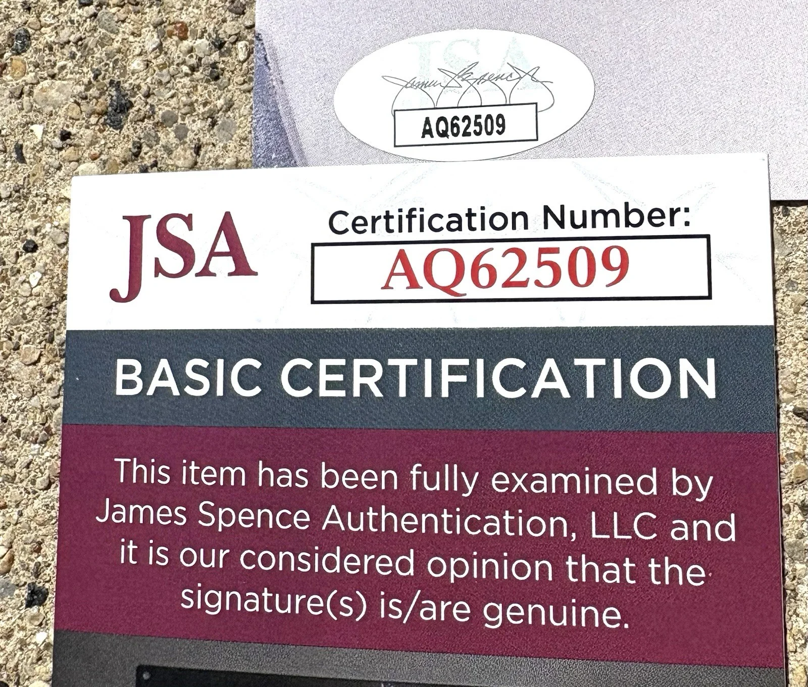 SOCIAL REPOSE SIGNED Poster JSA COA, image 2