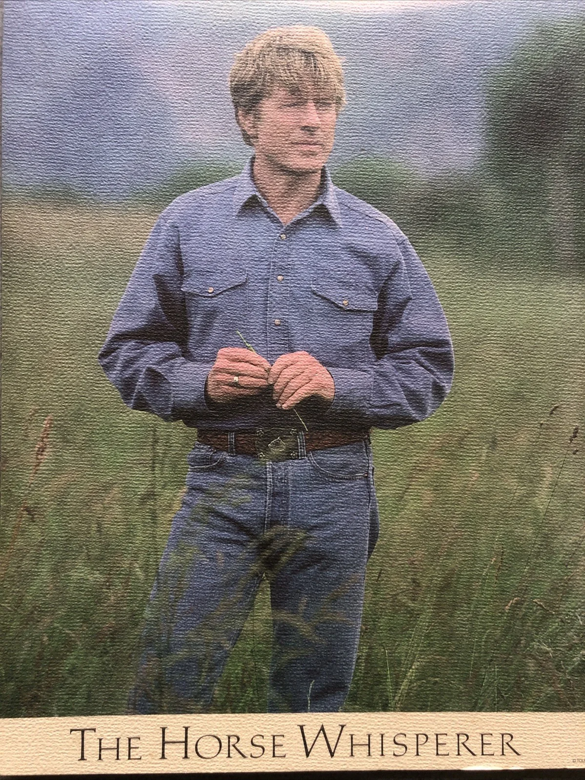 Cinema Press Mini Posters The Horse Whisperer-Robert Redford Movie Collectable, изображение 2