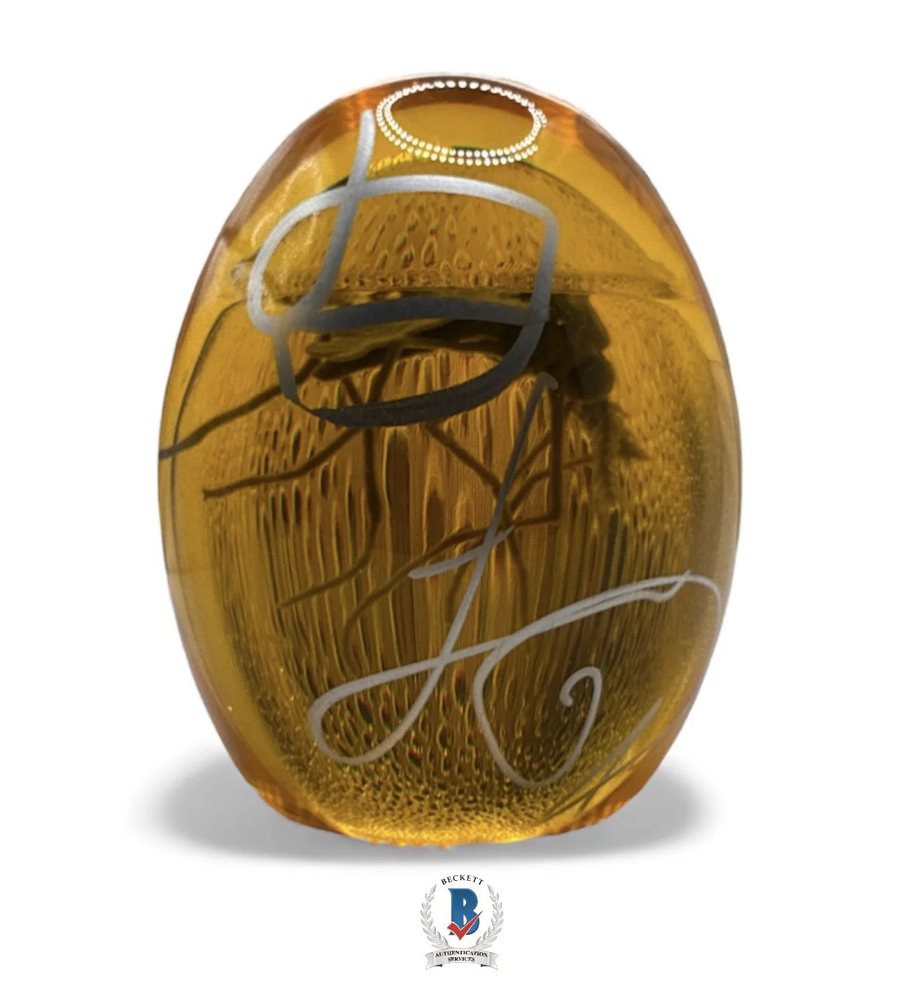 Jeff Goldblum and Laura Dern — Jeff Goldblum & Laura Dern Autograph Signed Jurassic Park Mosquito Amber Beckett