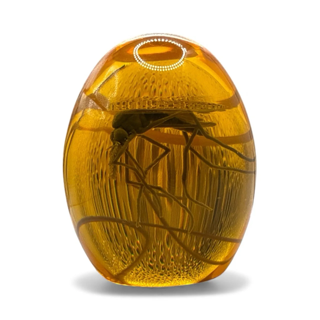Jeff Goldblum, Laura Dern — Jeff Goldblum & Laura Dern Autograph Signed Jurassic Park Mosquito Amber Beckett, image 2