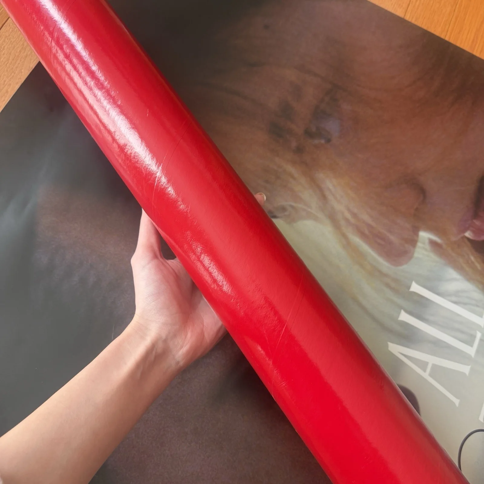 Taylor Swift RARE Signed All Too Well Short Film Premier Poster, image 3
