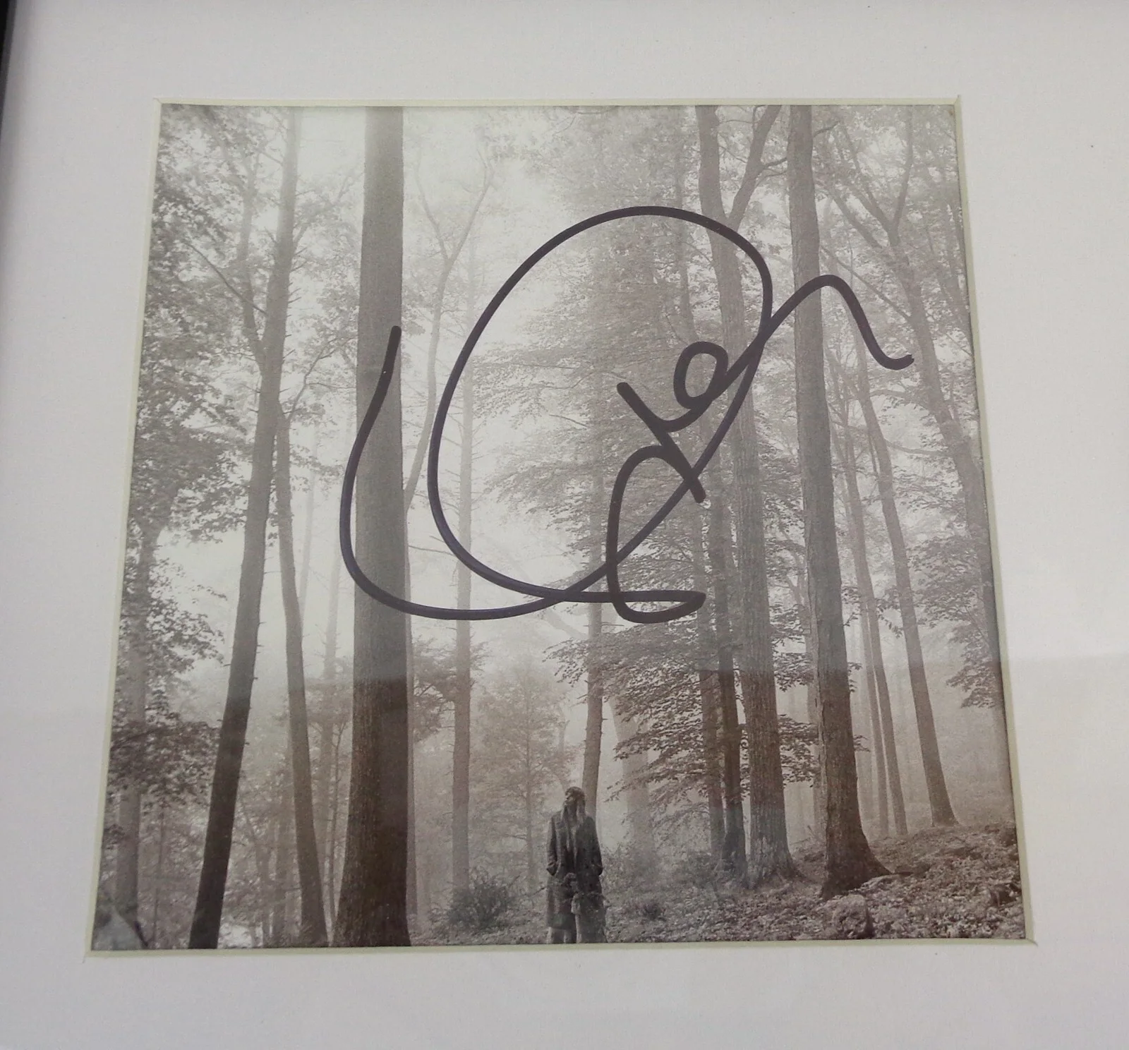 Taylor Swift — Taylor Swift Cardigan Signed Autograph Folklore CD Framed PSA/DNA COA A, image 2