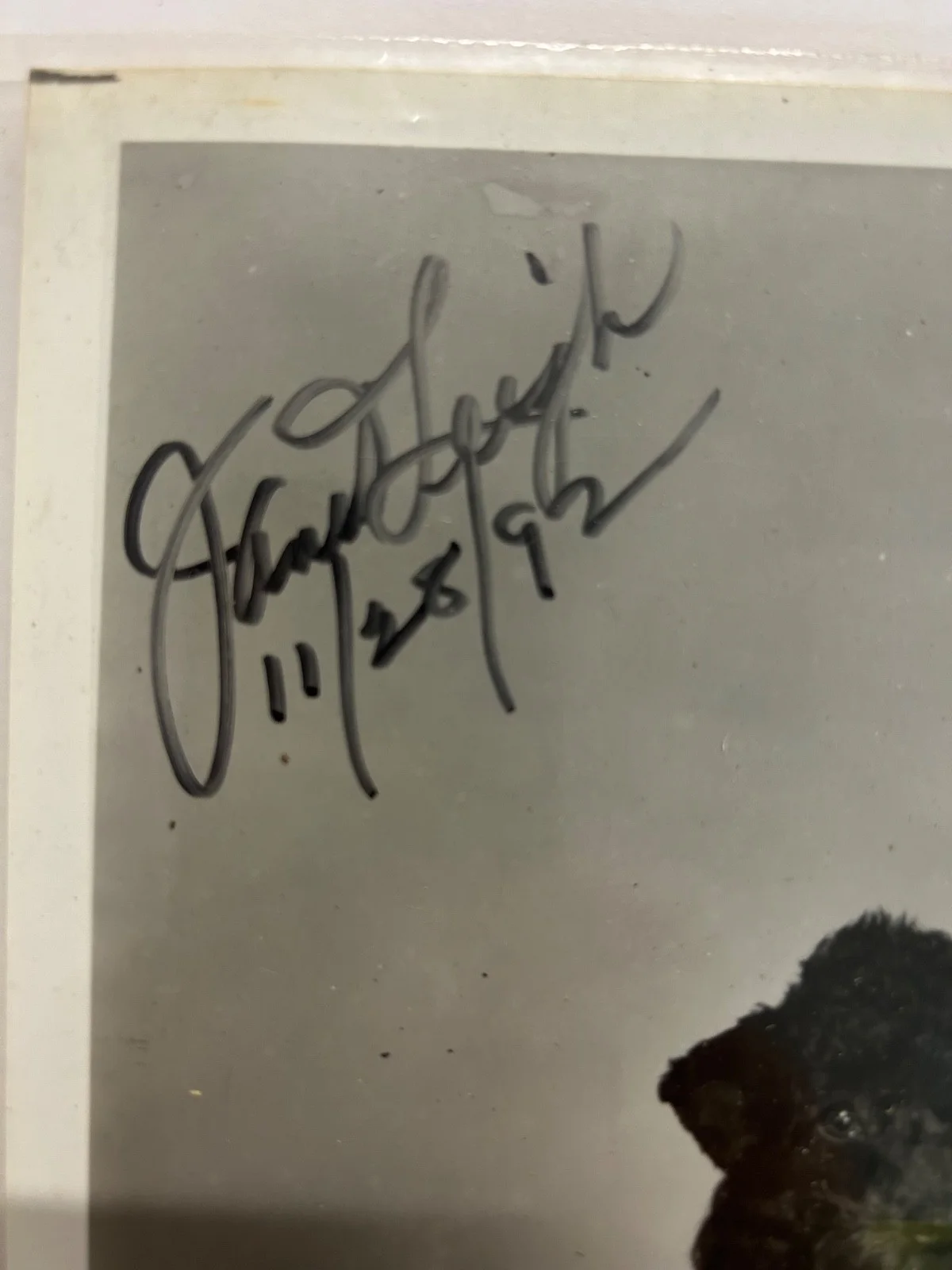 Janet Leigh autograph photo, image 2