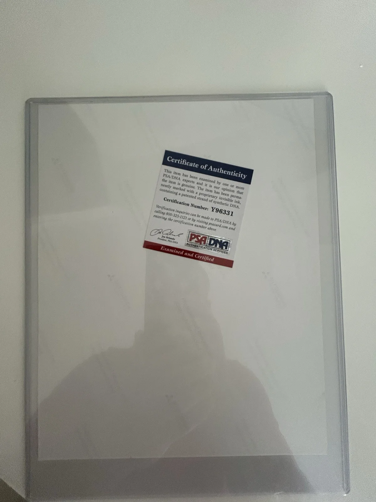 Signer Tommy Chong Authentic Photograph Signer Tommy Chong From The Simpsons, image 2