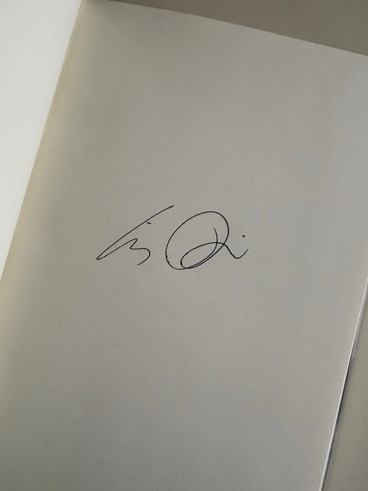 Liz Phair SIGNED Horror Stories AUTOGRAPHED 1st Edition Hardcover Book NEW!, изображение 2